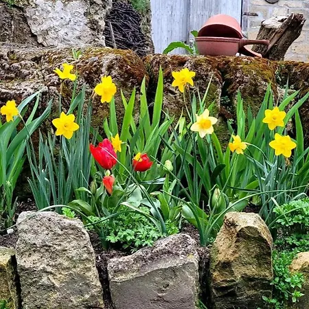 Hébergement de vacances La Bohème Paissy