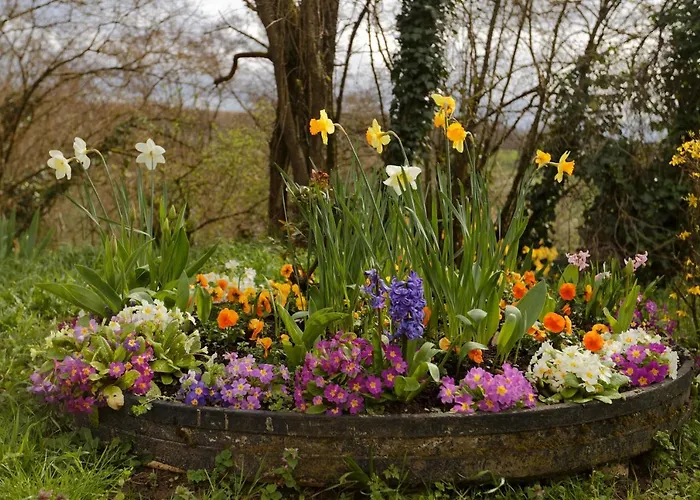 La Bohème Hébergement de vacances *