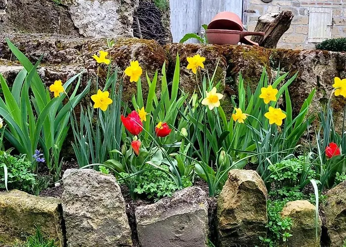 Hébergement de vacances La Bohème Paissy